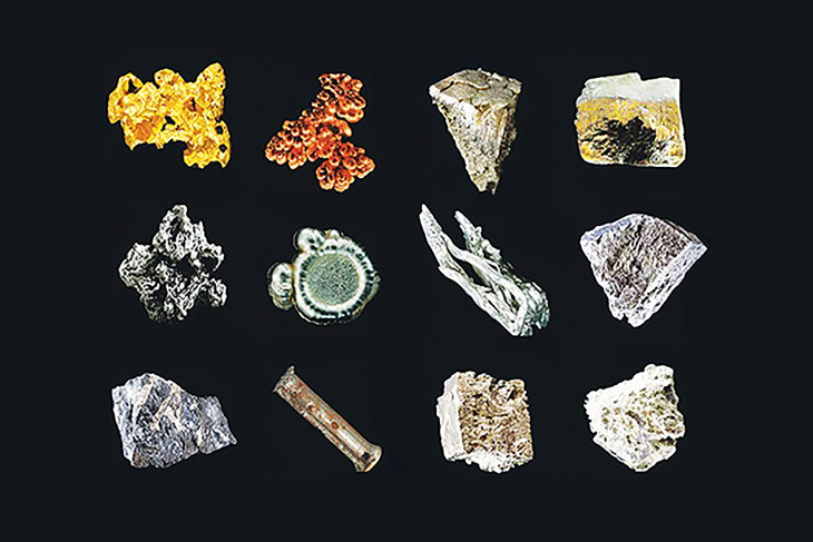 eight rare earths metals